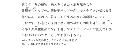 若々しくくすみのない透明肌へ説明