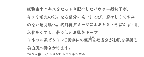 ナチュラルフィットパウダー配合の説明