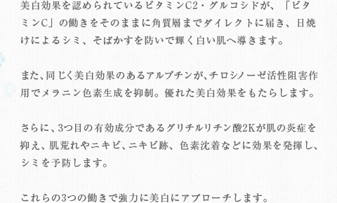 医薬部外品として認められた３つの有効成分で美白ケアにアプローチ。の説明