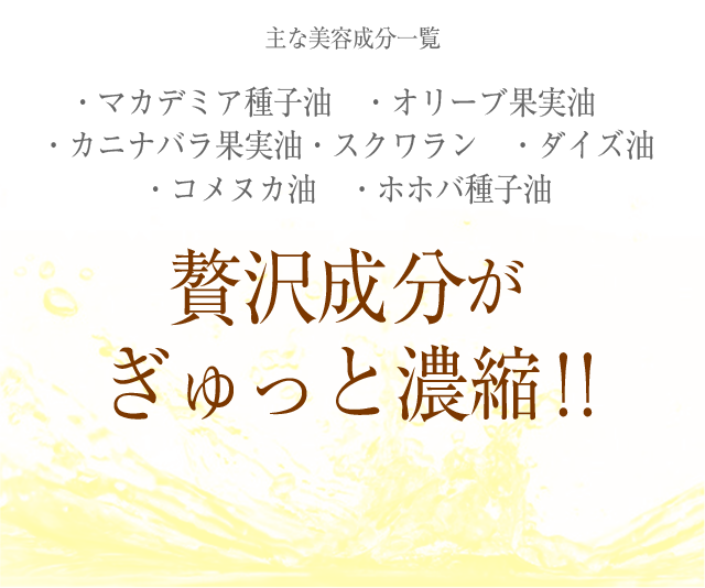 贅沢成分がぎゅっと濃縮