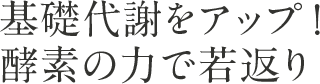 基礎代謝をアップ！酵素の力で若返り