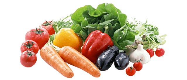 約100種類の野菜や果物＋乳酸菌・オリゴ糖を１球に凝縮！の説明図（イメージ）
