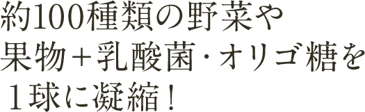 約100種類の野菜や果物＋乳酸菌・オリゴ糖を１球に凝縮！