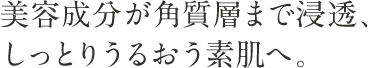 美容成分が角質層まで浸透、
しっとりうるおう素肌へ。